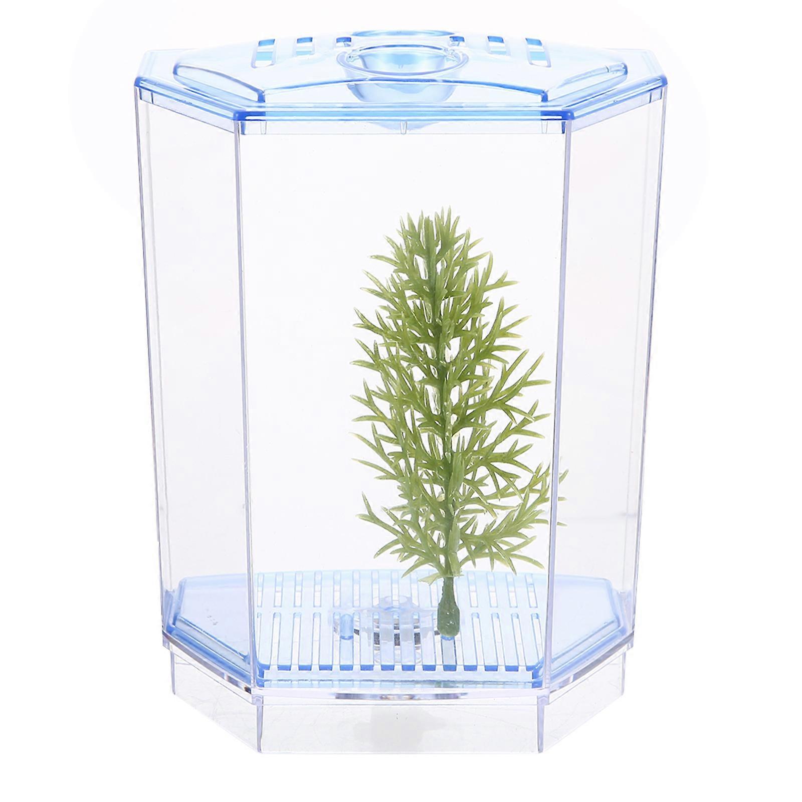 Mini Plastic Fish Tank For Fish Breeding In Simple Design Blue 1Set