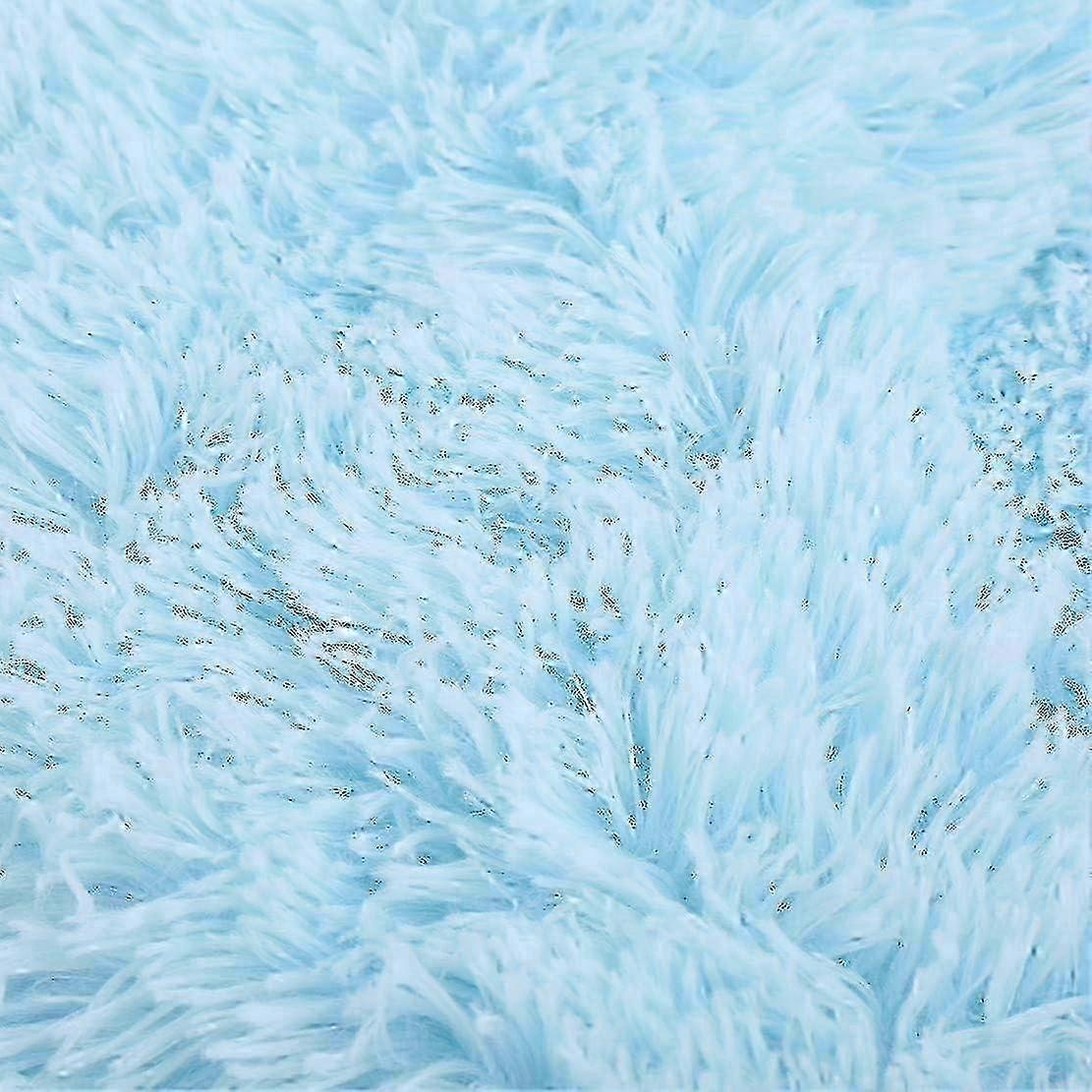 Super Soft Plush Blanket for Sofa, Fluffy Fur Blanket, Warm and Cozy Blanket for Winter (80 x 120 cm, Light Blue) Edition