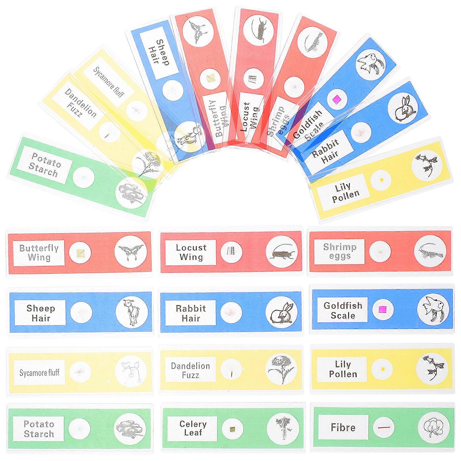 Plastic Prepared Microscope Slides Collection for Scientific Study 36Pcs