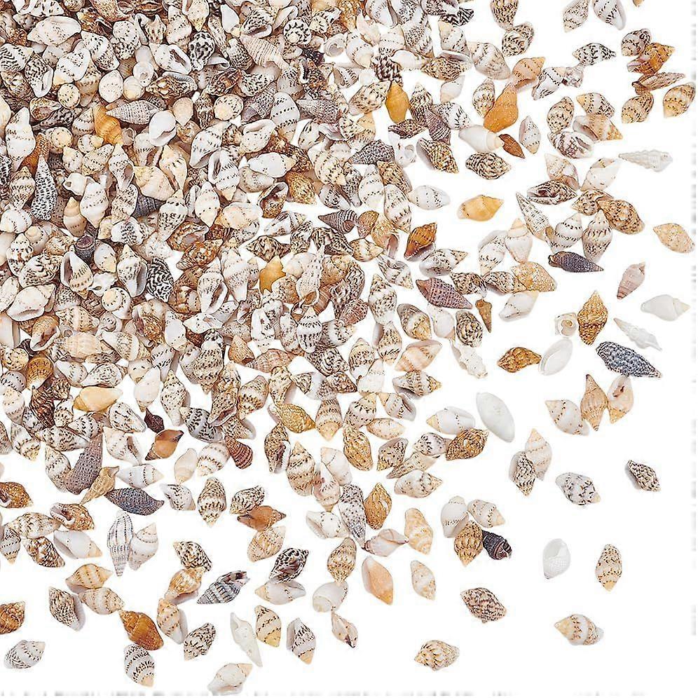 1290pcs Tiny Sea Shells No Hole Seashells Natural Conch Seashell Bulk for Resin Crafts Candle Making Vase Fillers Fish Mirror Decoration Oceaan Beach 