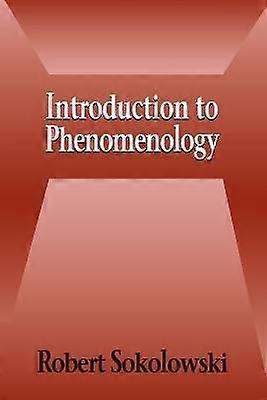 Introduction to Phenomenology