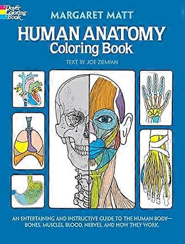 Human Anatomy Colouring Book
