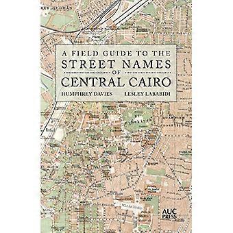 En Field Guide to gatunamn i centrala Kairo