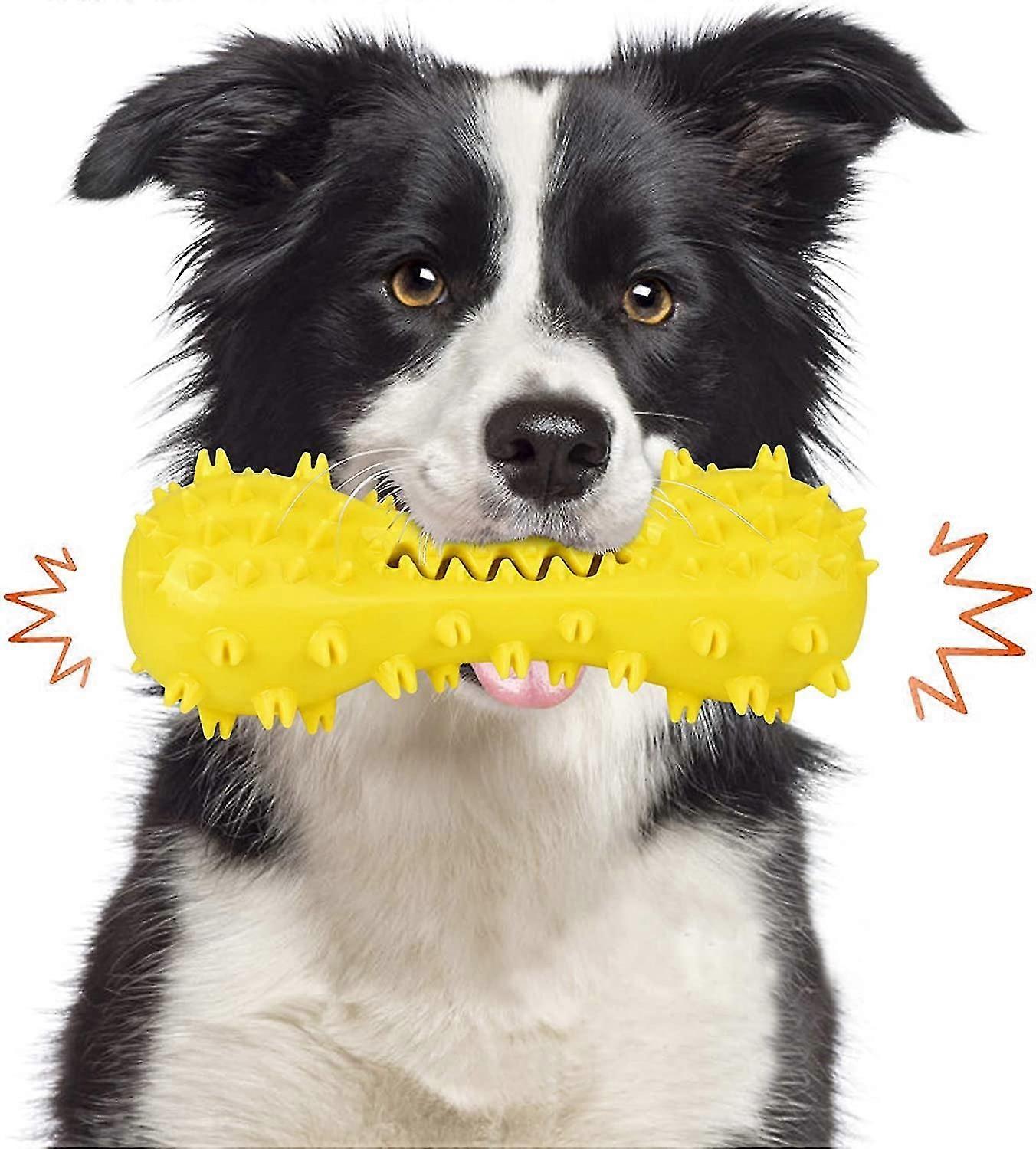 Durable Non-toxic Interactive Dog Chew Toothbrush For Pets