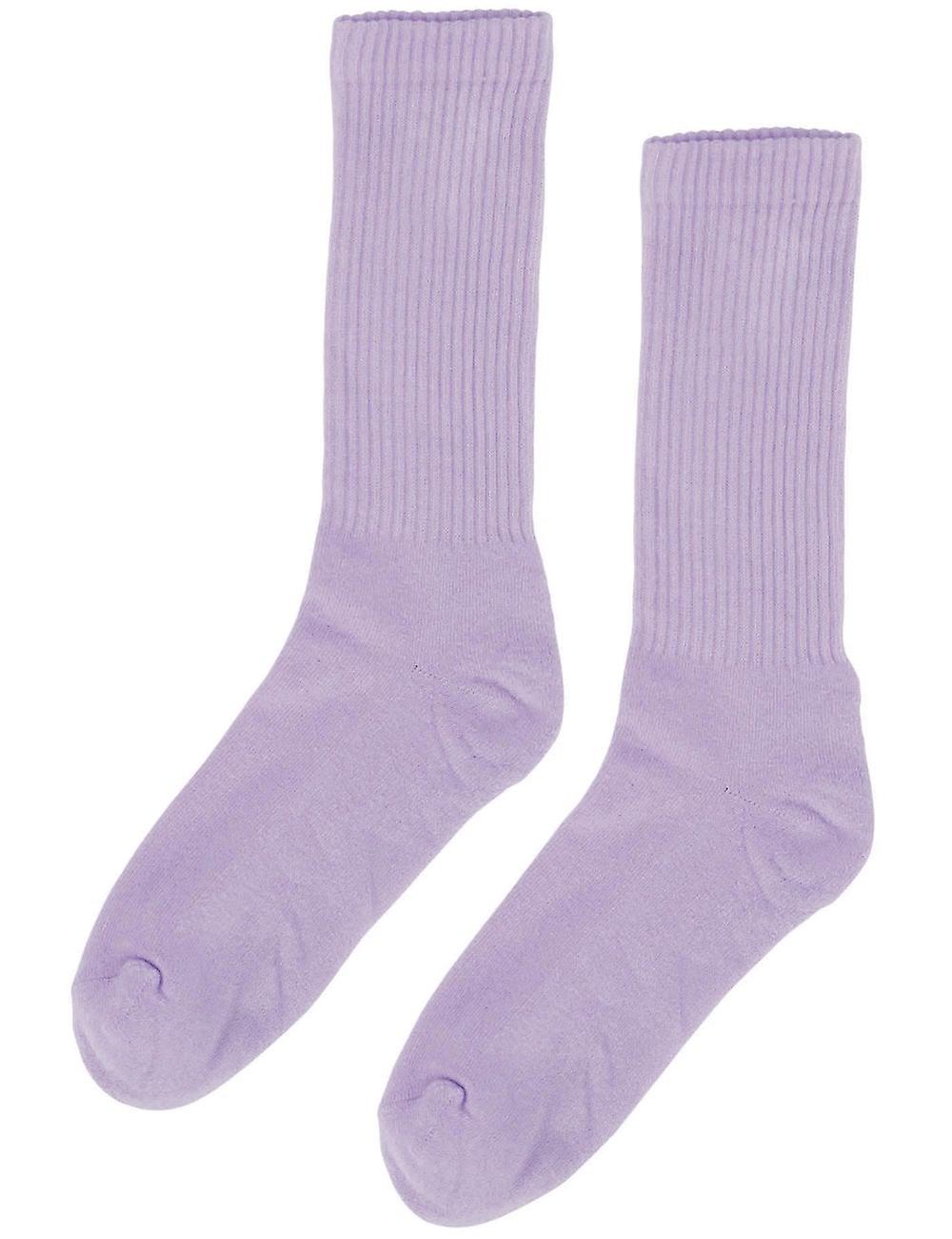 Men's Colorful Standard Women's Organic Active Socks - Soft Lavender