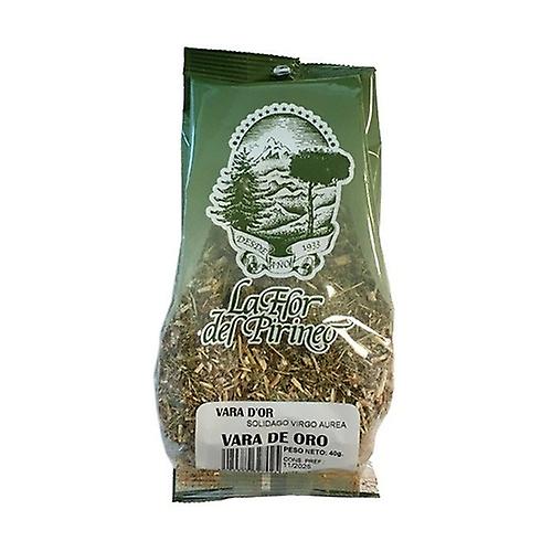 Goldenrod (solidago) 40 g