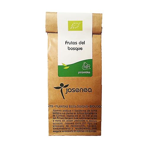 Wild Berries Kraft 10 infusion bags