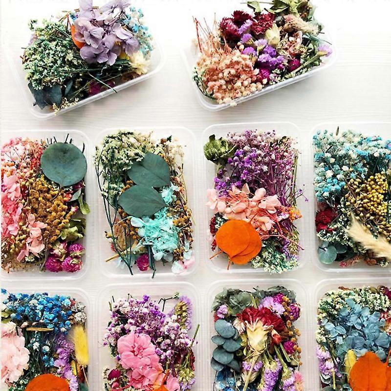 Dried Flowers Package Mixed Eternal Flowers and Foliage DIY Aromatherapy