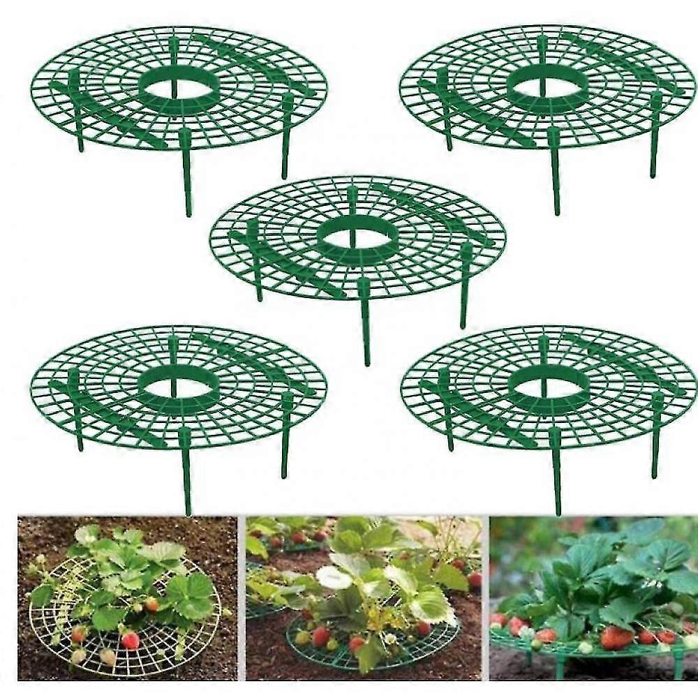 5 Pack Strawberry Supports, Adjustable Strawberry Growing Racks