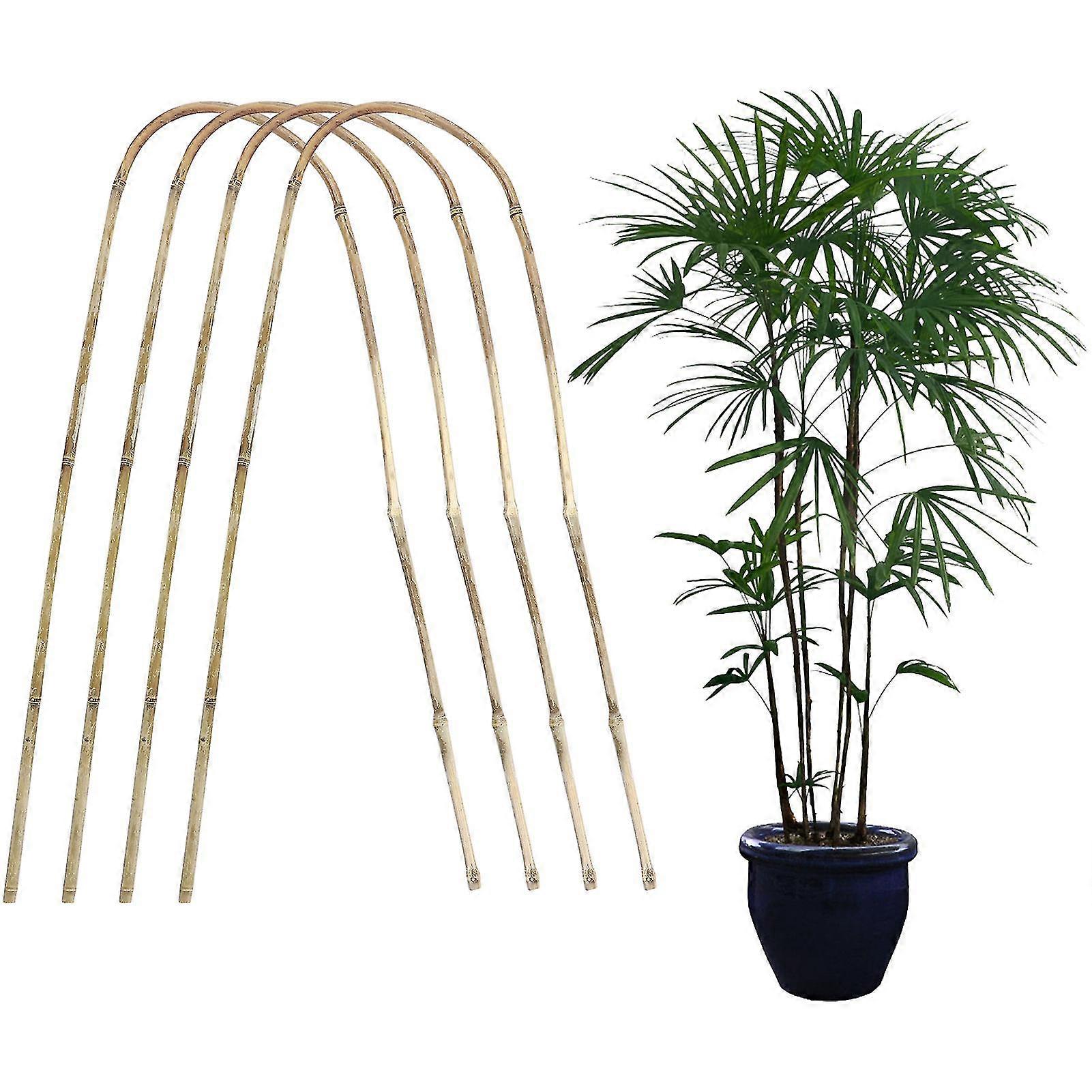 Bamboo Plant Trellis for Stylish Climbing in Home Garden