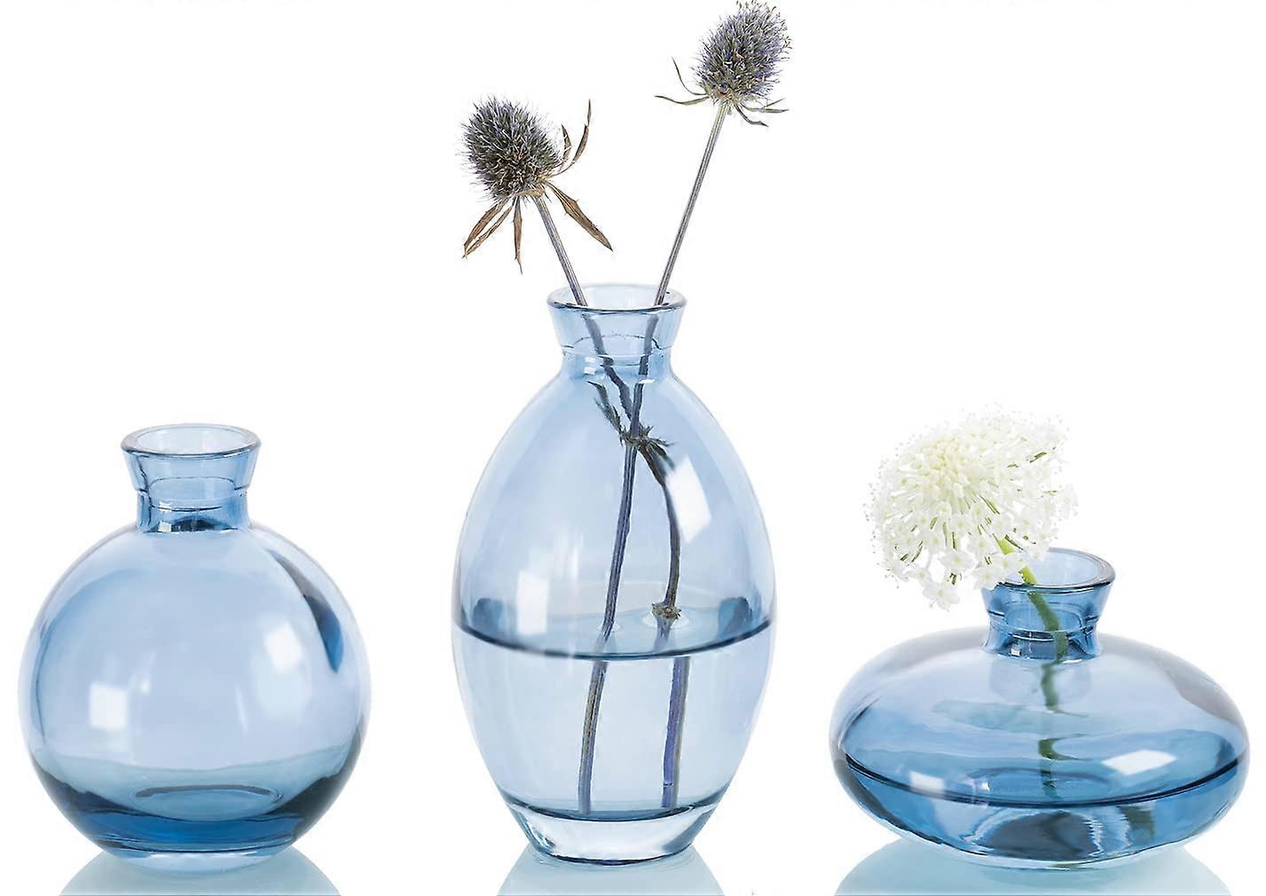 Handmade Glass Vases Set of 3 for Floral Decorations, Modern Home Decor, Clear, Various Sizes