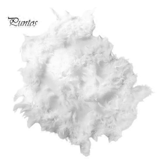 Boa Skjerf Fjær Tynt Skjerf Hudberørende Skjerf Fester Sceneopptredener Tilbehør