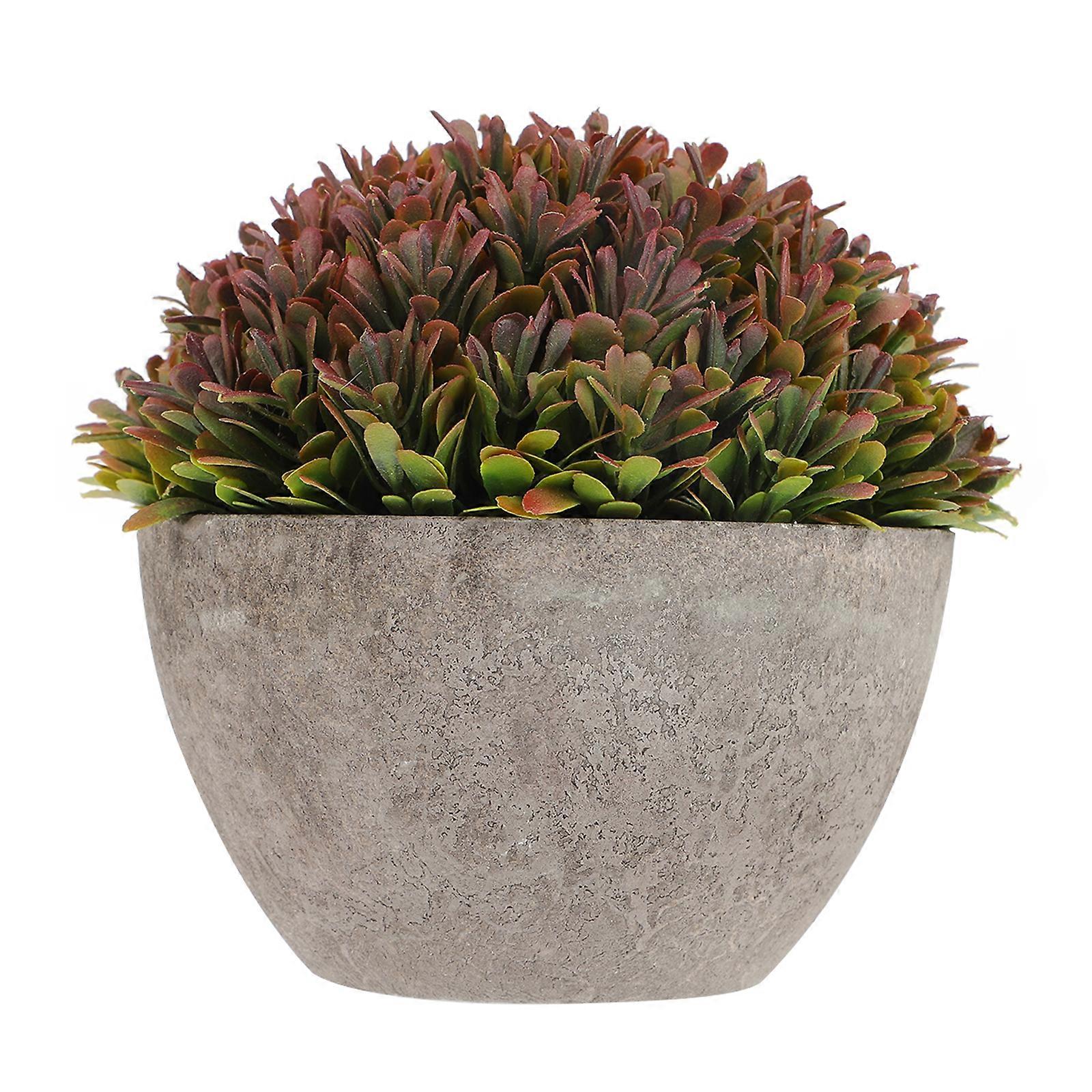 Small Potted Greenery Decor, Elevating Aesthetic Value in Everyday Spaces