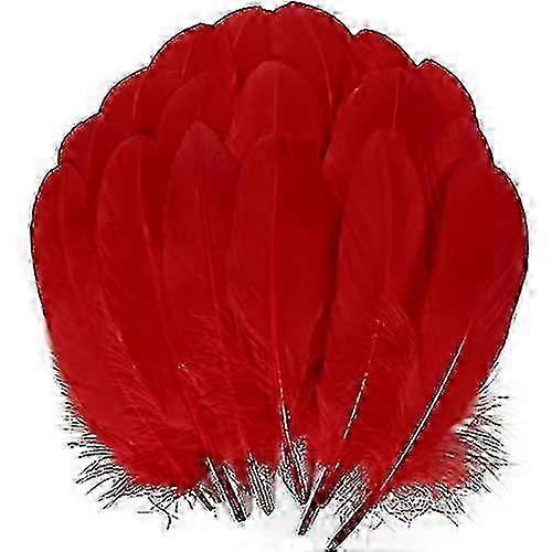 200pcs Goose Nagoire Feathers