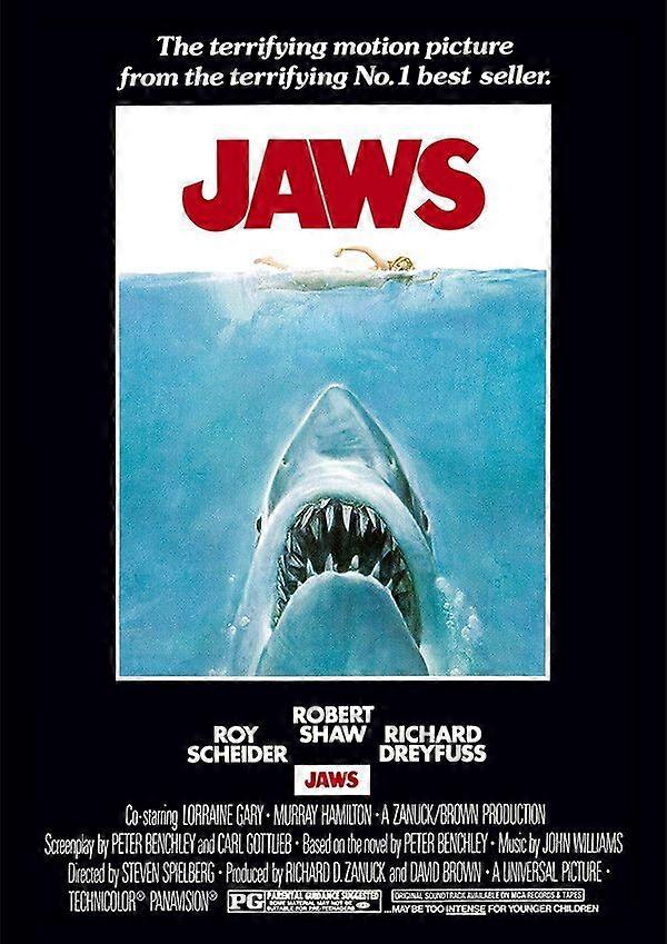 JawsJigsaw Puzzle Brain Teaser EB 5231