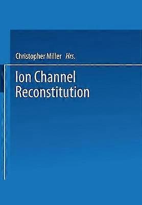 Reconstituirea Canalului Ion