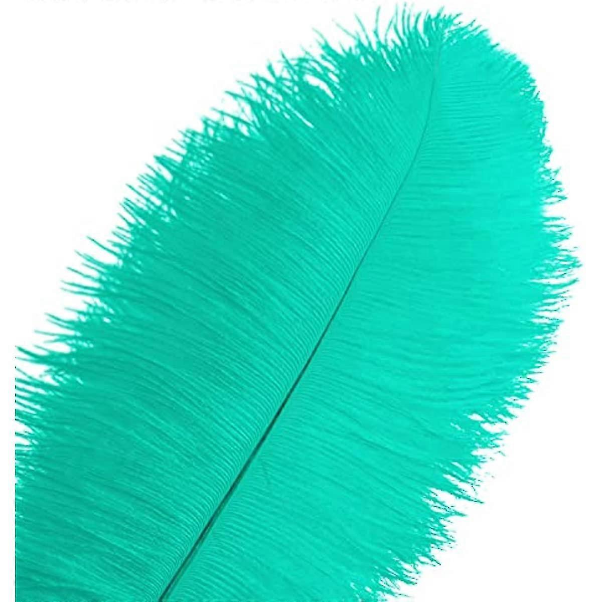 50pcs Ostrich Feathers For Decorations 26s