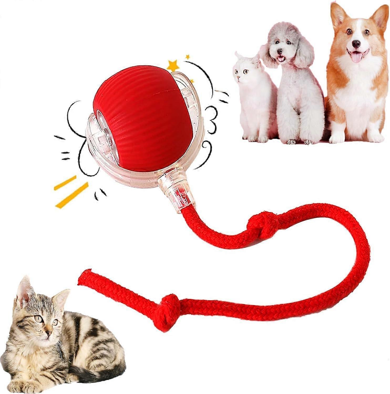 Interactive Cat Toy Ball with Rope, Smart Automatic Rolling and Obstacle Avoidance for Cats and Dogs Red