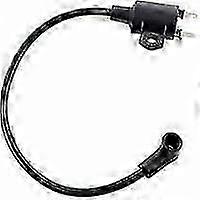 Ignition Coil for Einhell STE800 ST8000 Carburetor Kit Edition 0729