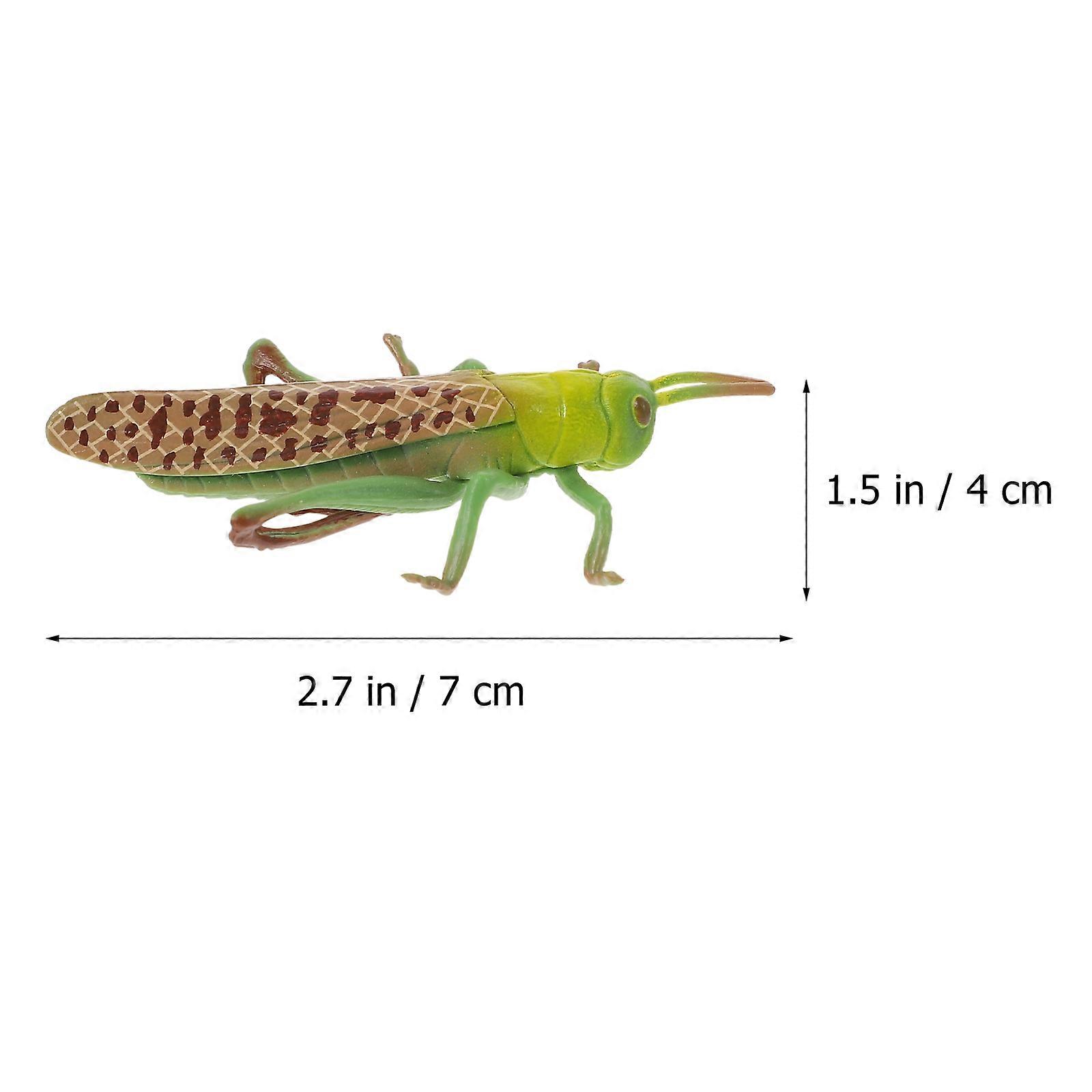 Plastic Grasshopper Cognitive Model for Educational Use 1Set