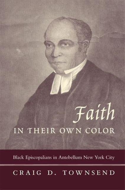 Faith In Their Own Color by Craig D. Townsend Paperback