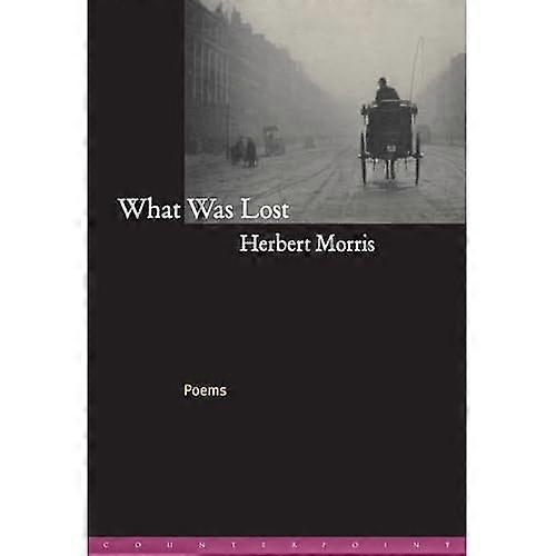 What Was Lost: Poems