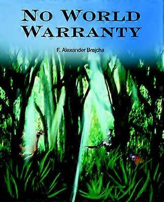 No World Warranty