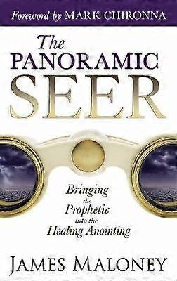 The Panoramic Seer