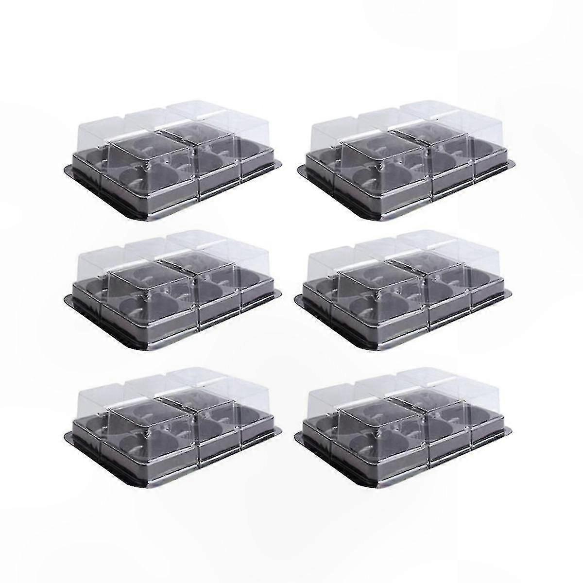 100 Pack Clear Plastic Dessert Trays with 6 Compartments for Muffins, Cupcakes, and Cookies Storage Solution