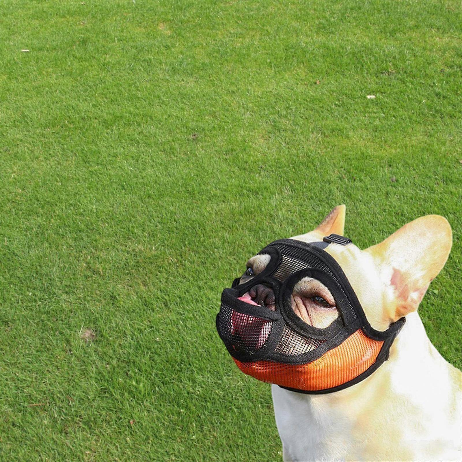 Short Snout Bull, for Biting Chewing, Adjustable Grooming