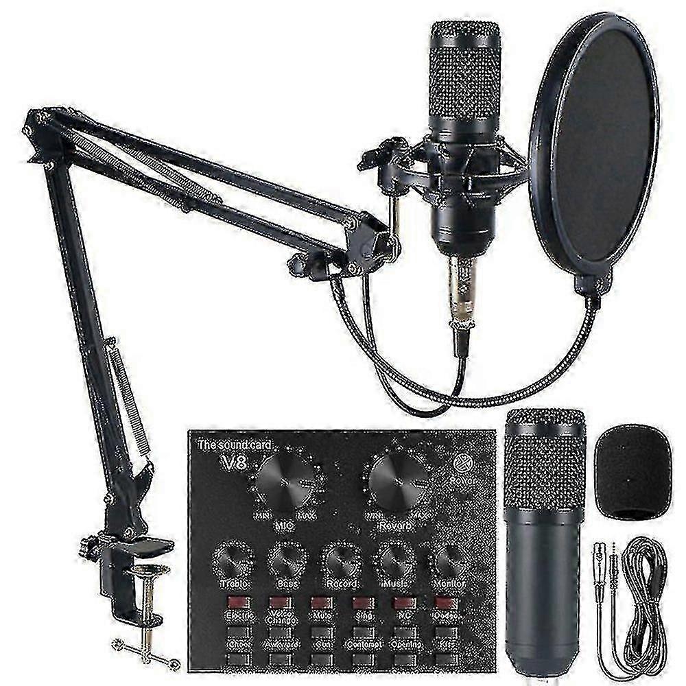 Professional Recording Studio Audio Interface Recording External Live Bm-800 Karaoke Microphone V8 Sound Card Condenser Microphone(EPA02) 25