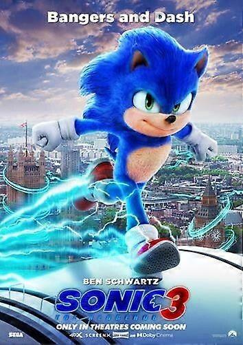 SONIC 3 THE HEDGEHOG Jigsaw Puzzle Brain Teaser TP1007