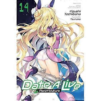 Date a Live, osa 14 (kevytromaani)