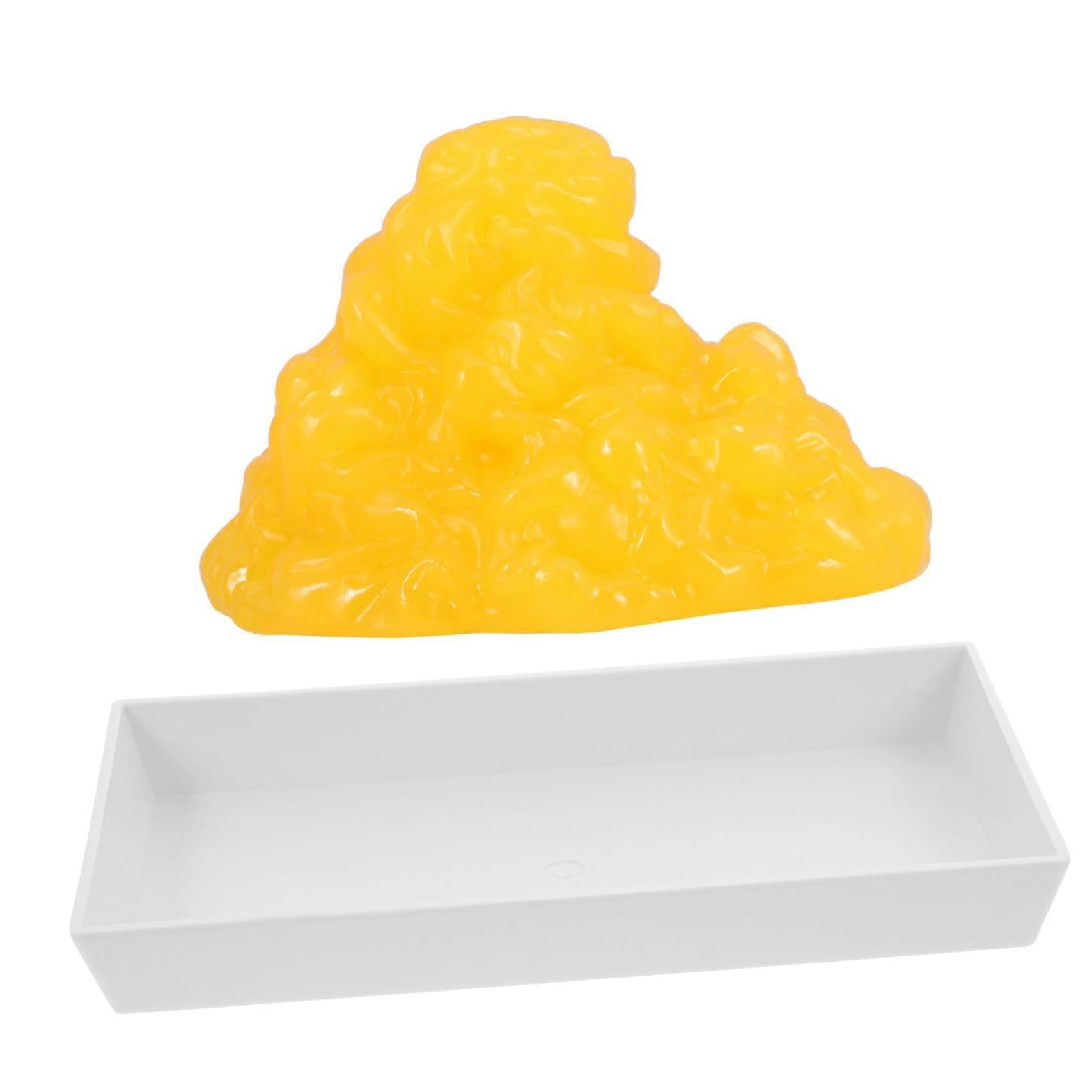 Body Fat Model with Base for Nutritionists, Realistic Human Fat Simulation, Clear Visualization Tool