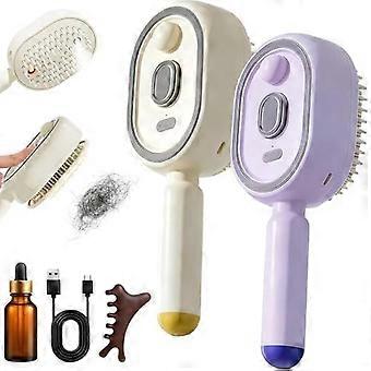 Quality Quality Exquisite Electric Spray Air Cushion Massage Comb, Electric Steam Brush for Hair, Rechargeable Detangling Hair Brush with Essential Oi