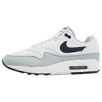 Nike Air Max 1 Platinum Tint Dark Obsidian FD9082-002