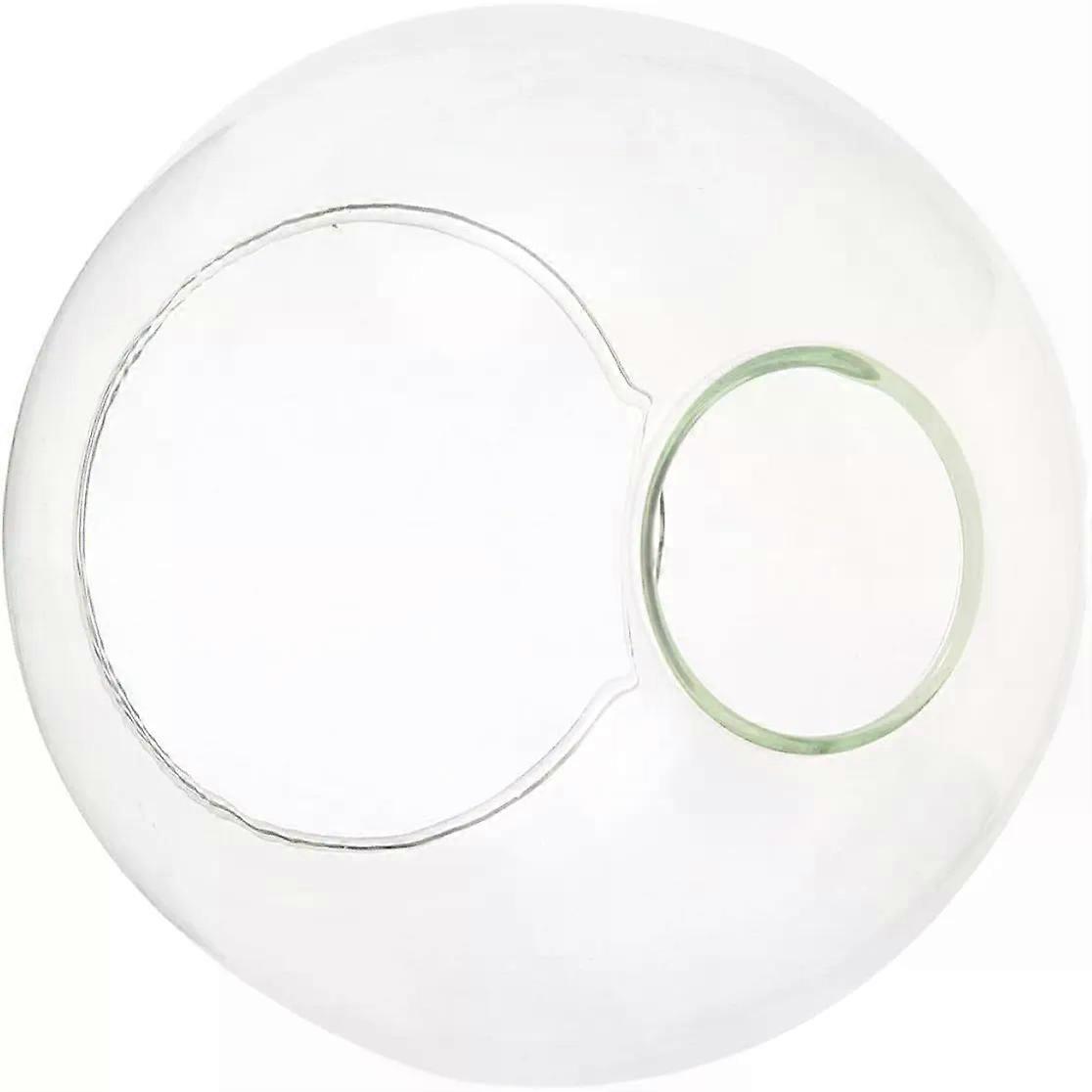 Glass Globe Lamp Shade Replacement Decorative Ceiling Light