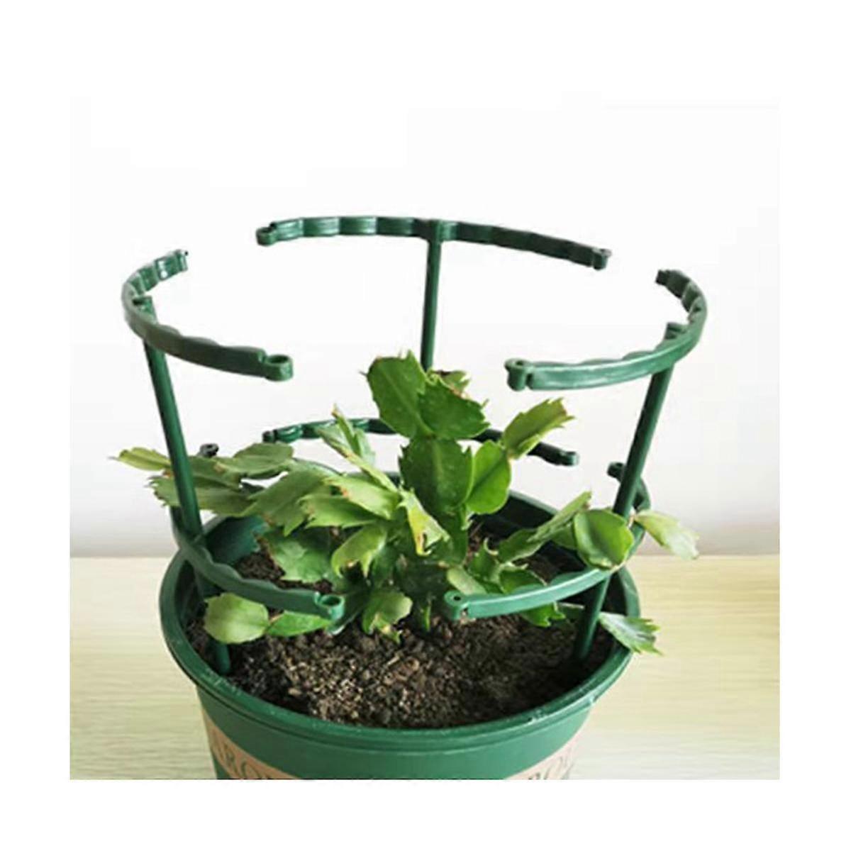 20PCS Plant Support Pile Frame Greenhouse Arrangement Semicircle Fixed Rod Indoor Flower Plant Vine