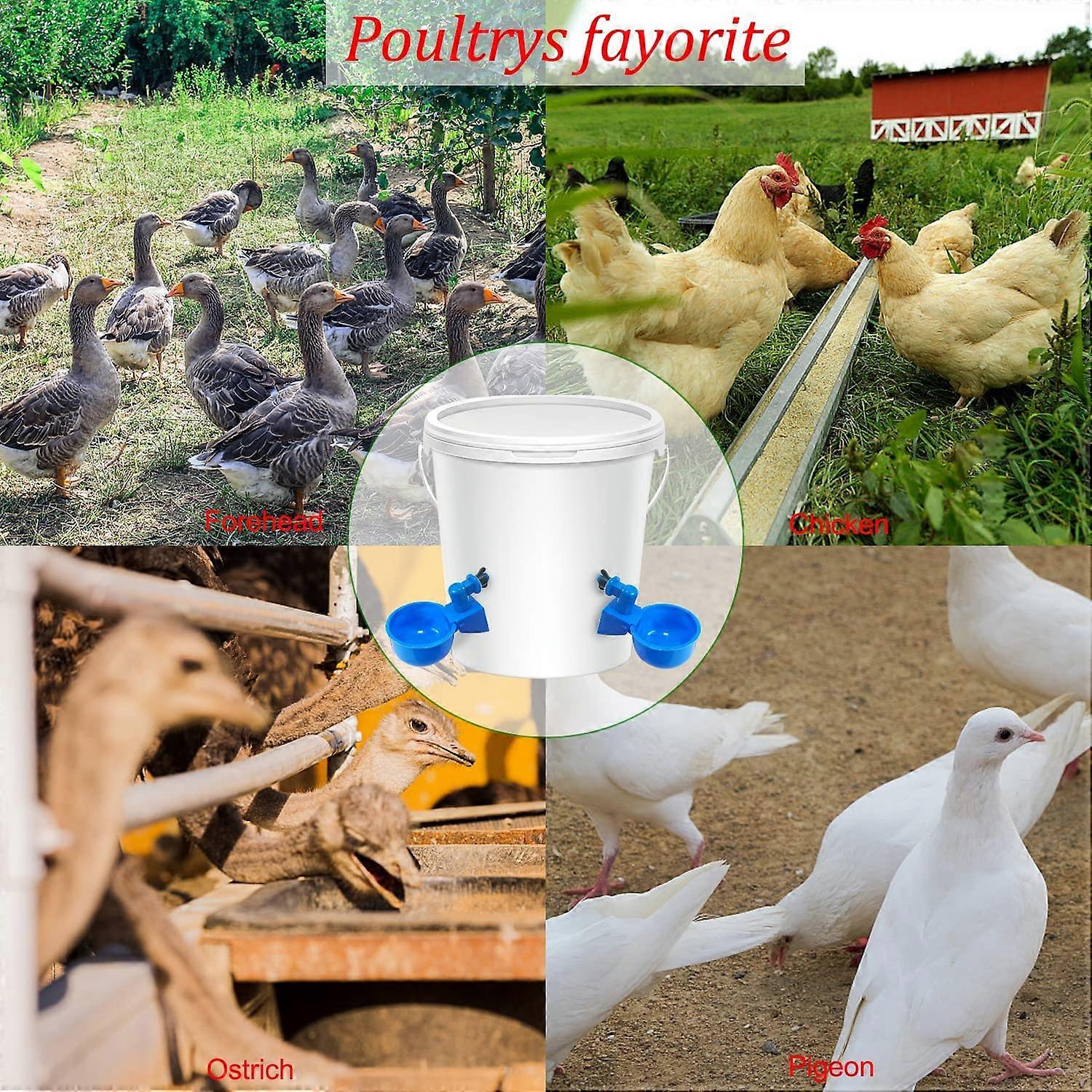 12 Pieces Chicken Drinker, Automatic Drinker, with Punch Tools, Suitable for Chickens, Ducks and Other Backyard Poultryblue