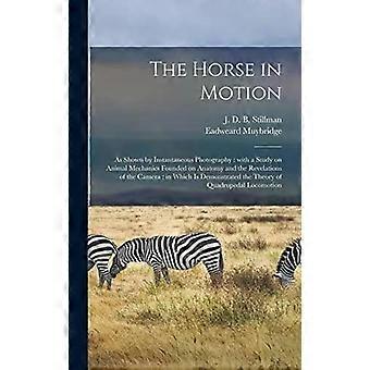 The Horse In Motion As Shown By Instantaneous Photography With A Study On Animal - Creative Media Partners LLC