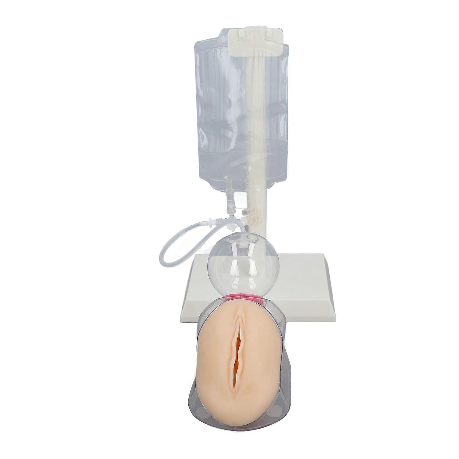 Female Urinary Catheterization Training Kit Silicone Fluid Circulation System Simulated Urinary Insertion Catheterization Model for Medical Students 