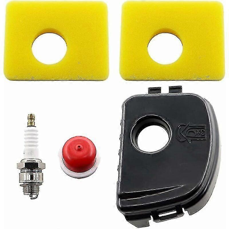 Luftrenarlock med filter för Briggs & Stratton Series 300e/450e/550e