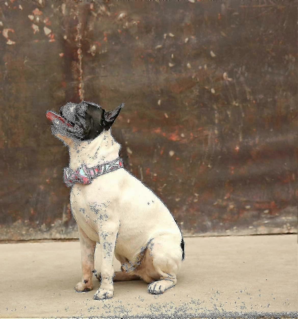 Haustier-Halsband Mit Schleife – Weiches Baumwollhalsband Für Hunde & Katzen, Verstellbar & Sicher