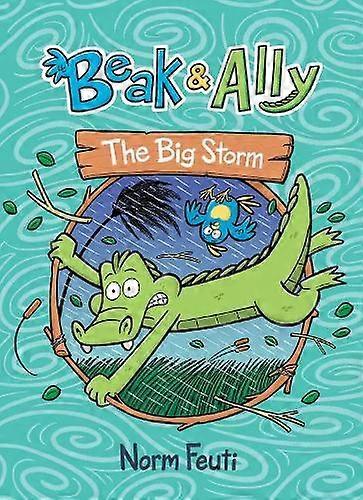 Beak Ally 3 The Big Storm by Norm Feuti Paperback Book