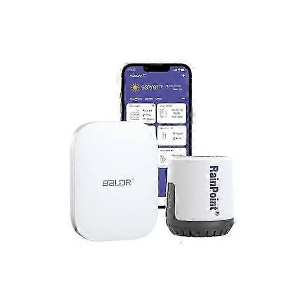 Rainpoint Wireless Wi-fi Digital Rain Gauge, 2.4 Ghz Wi-fi Only