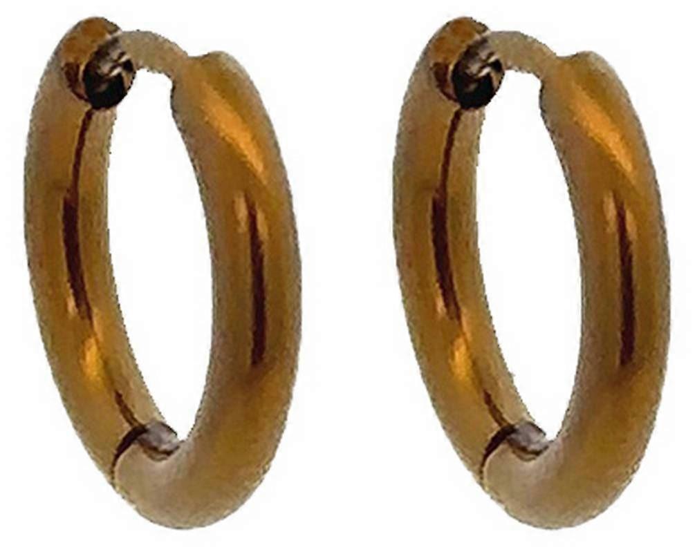 Ti2 Titanium Small Round Hinged Hoop Earrings - Tan