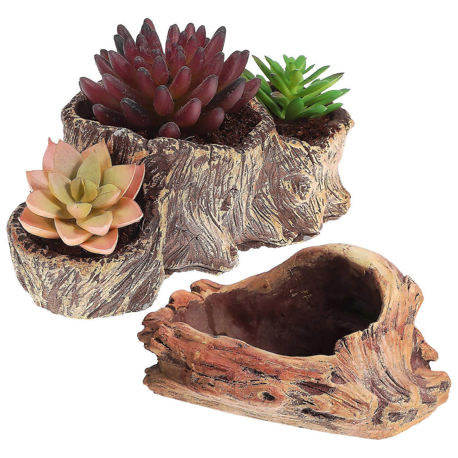 Succulent Flower Pot Root Planter for Garden Use 2Pcs
