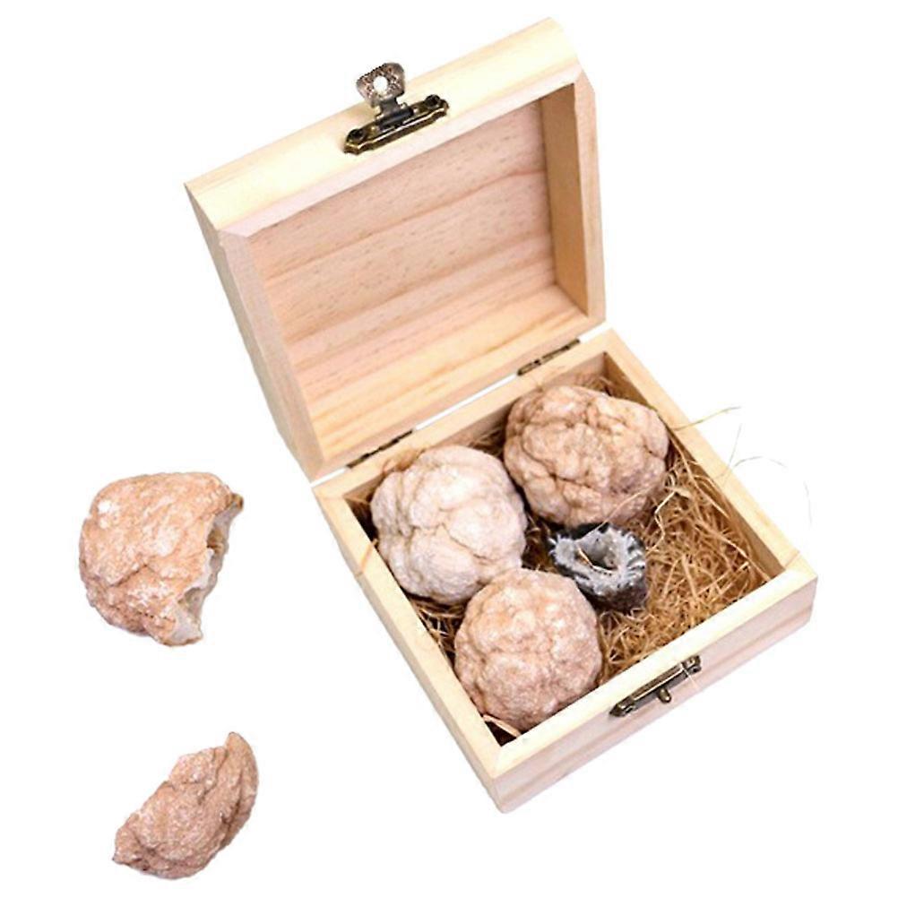 Rock Kit Gem Mining Kit for Playing Use Included 5 Boxes