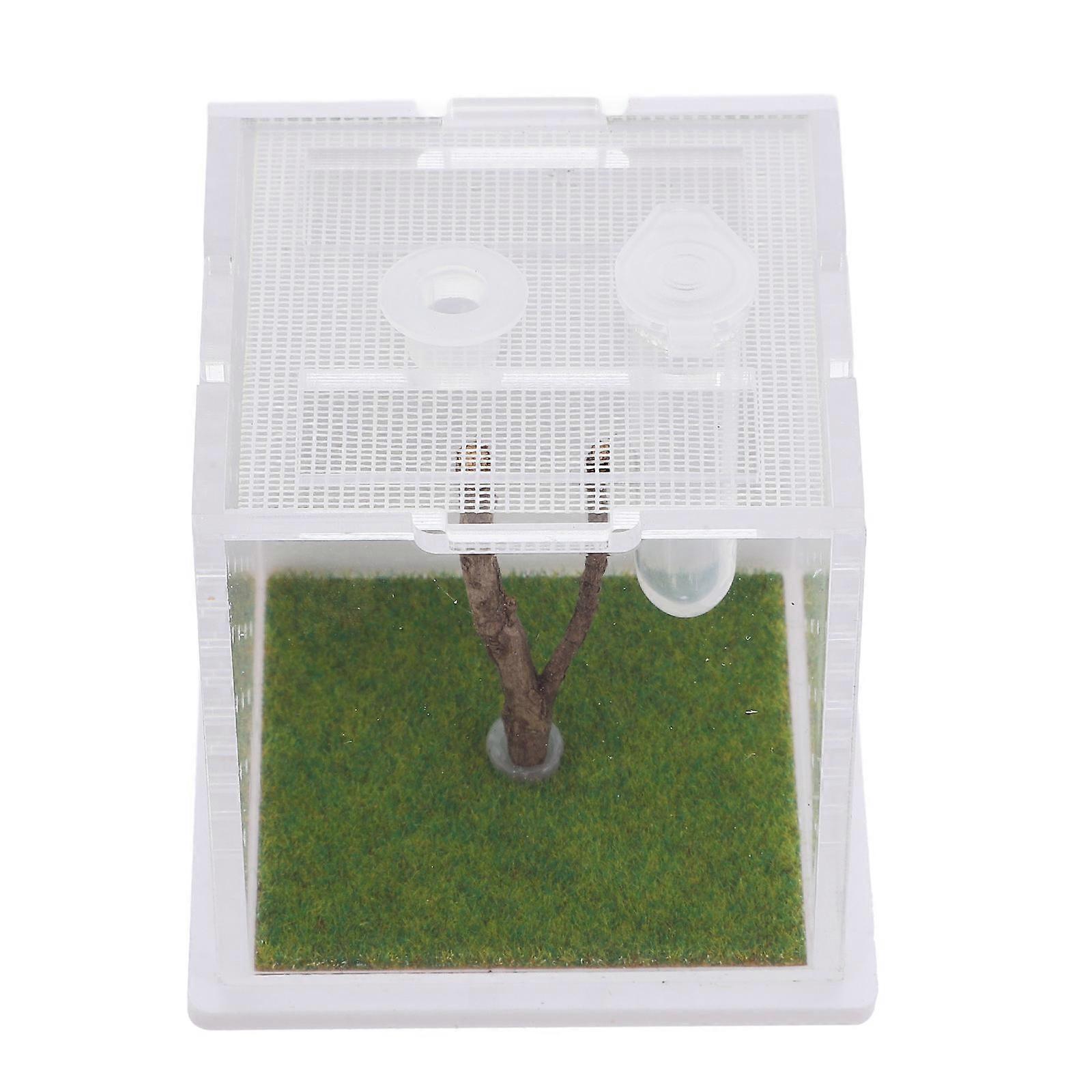 Jumping Spider Feeding Box Acrylic Habitat Container for Spider 3Pcs Enclosures