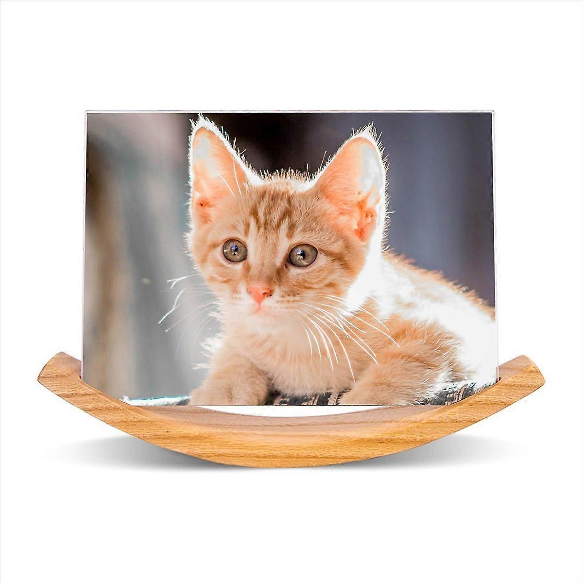 5X7 Frames Landscape Picture Frame, with Solid Wood & Frameless Cover